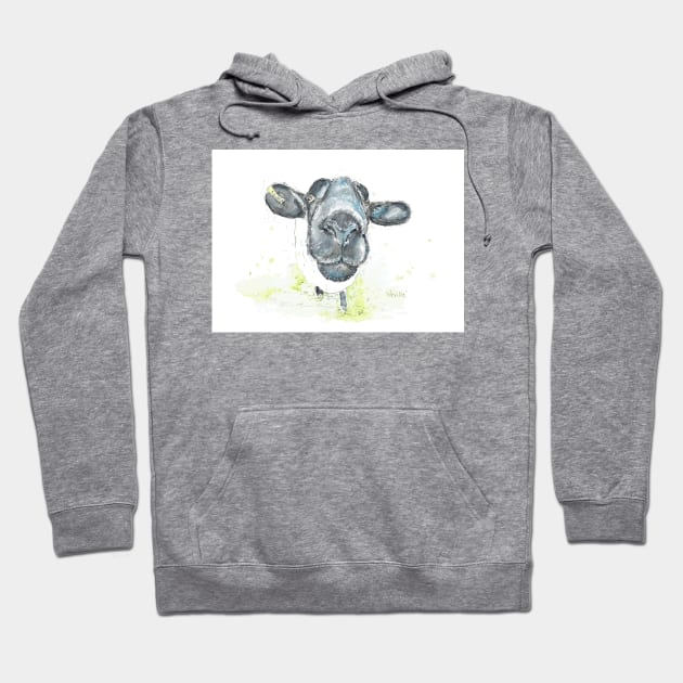 Neville the black faced sheep. Hoodie by DebTheZeb